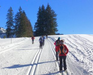 Skilanglauf bei Kaiserwetter
